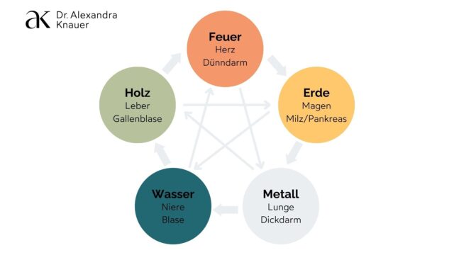 Dr. Alexandra Knauer, Grafik TCM Elemente (Blogartikel Immunabwehr)