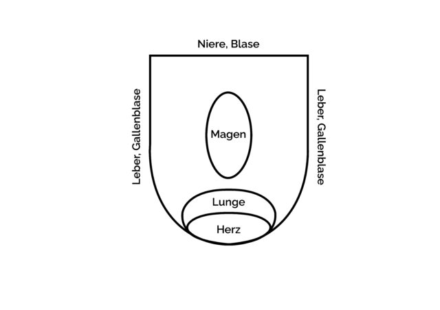 Zungendiagnostik Grafik