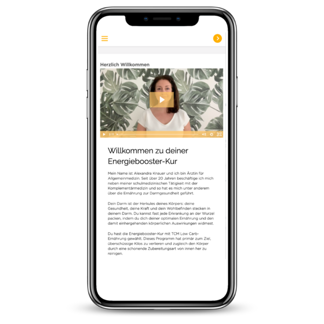 Energieboosterkur, Dr. Alexandra Knauer | Mock up Grafik