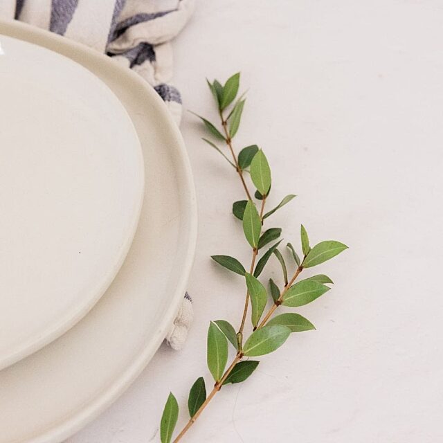 Intoleranzen freebie knauer